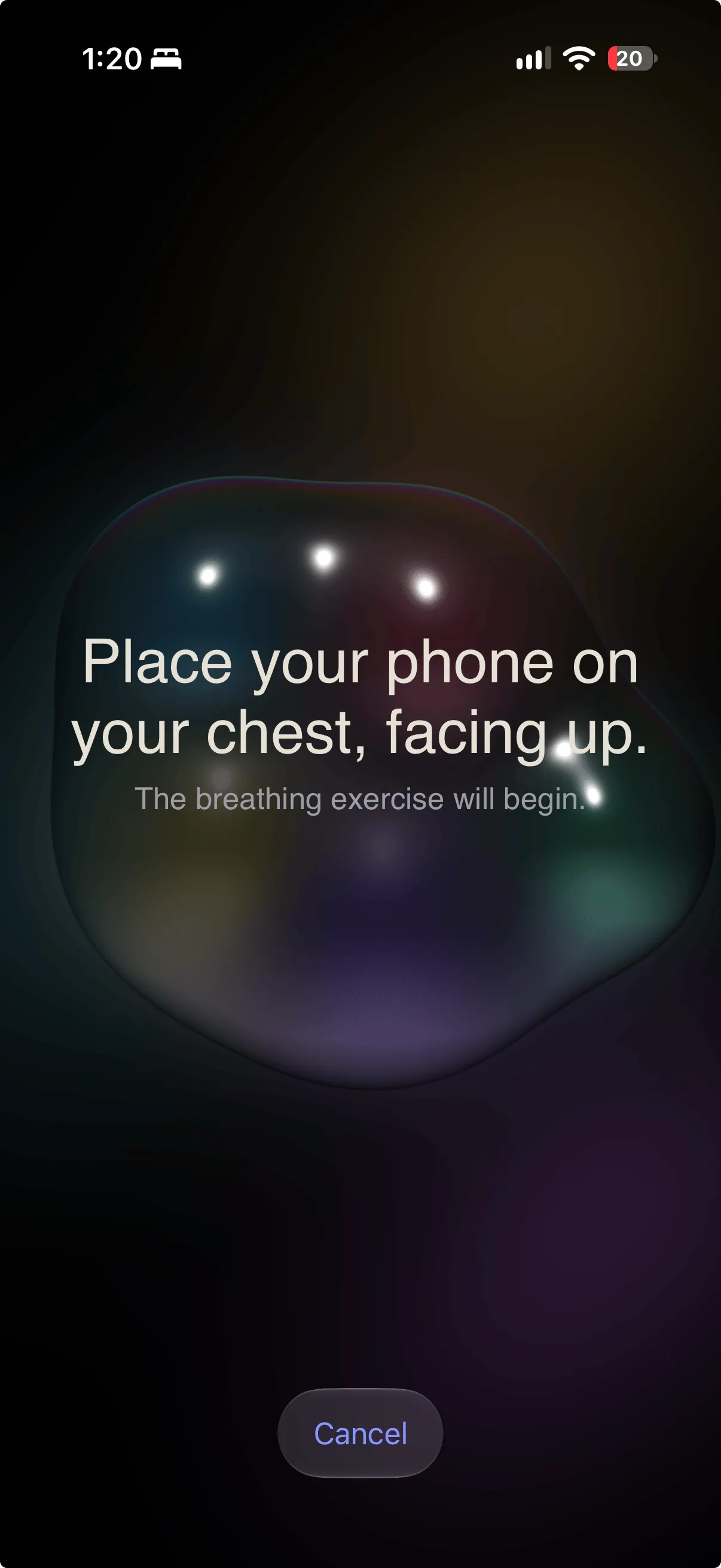 Breath Body screen